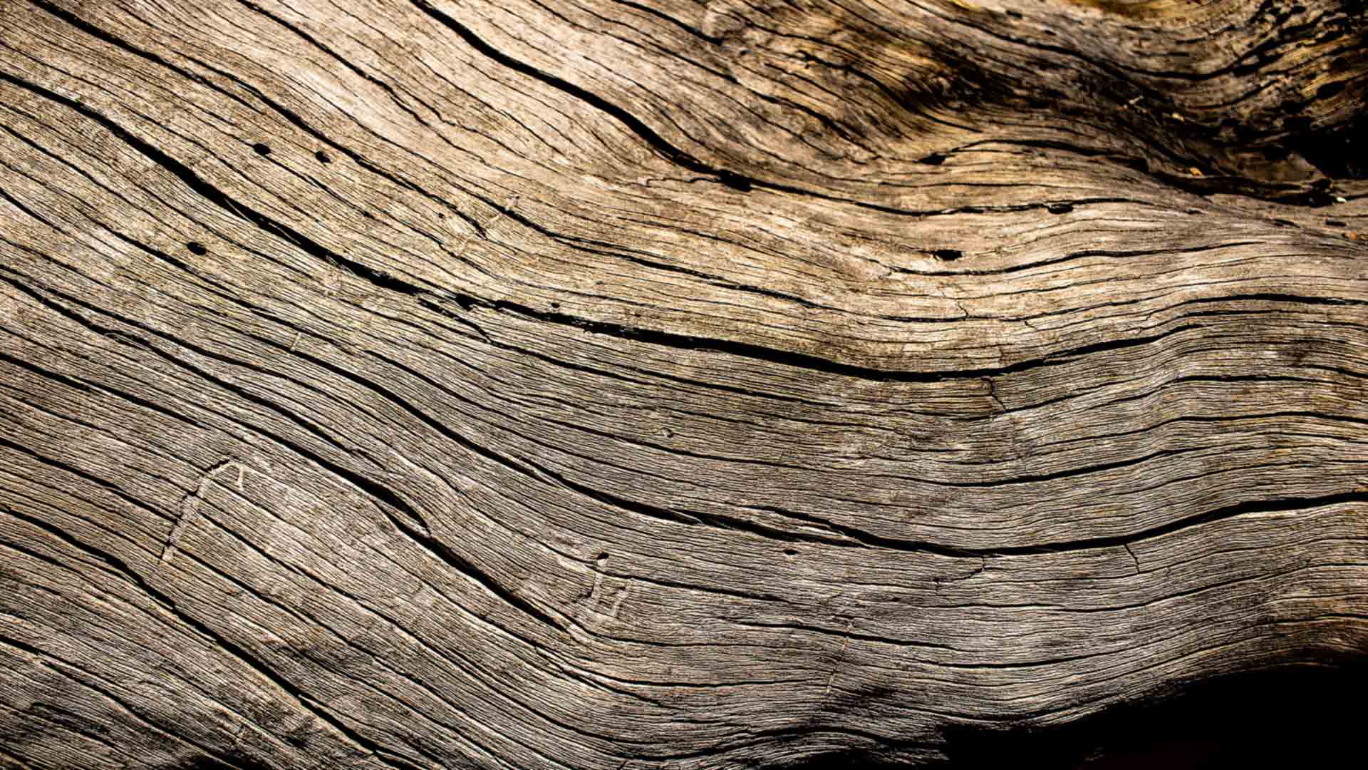 Rezepte Hintergrund